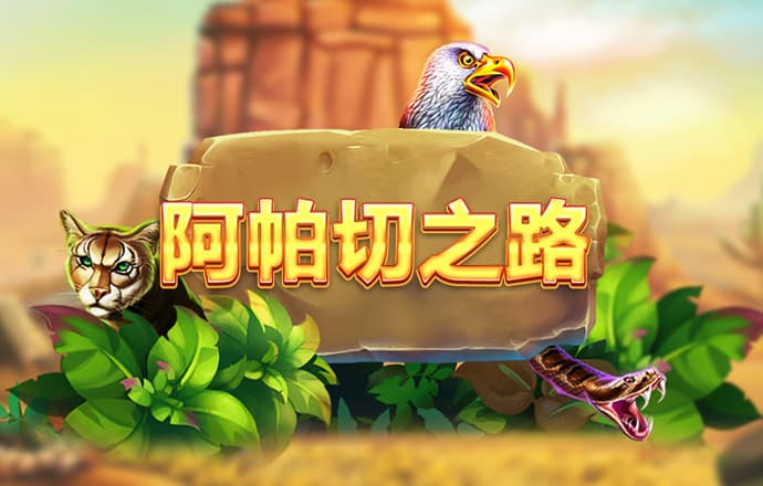 9球体育官网
